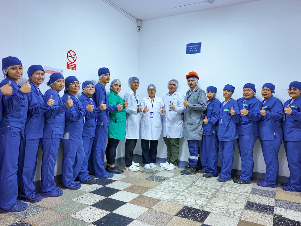 Equipo de producción