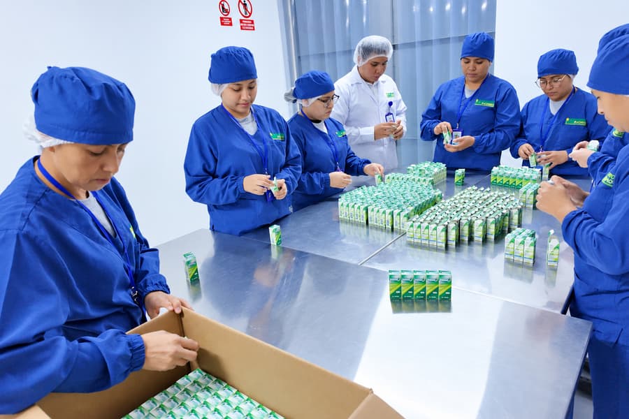 Equipo acondicionando productos en sala